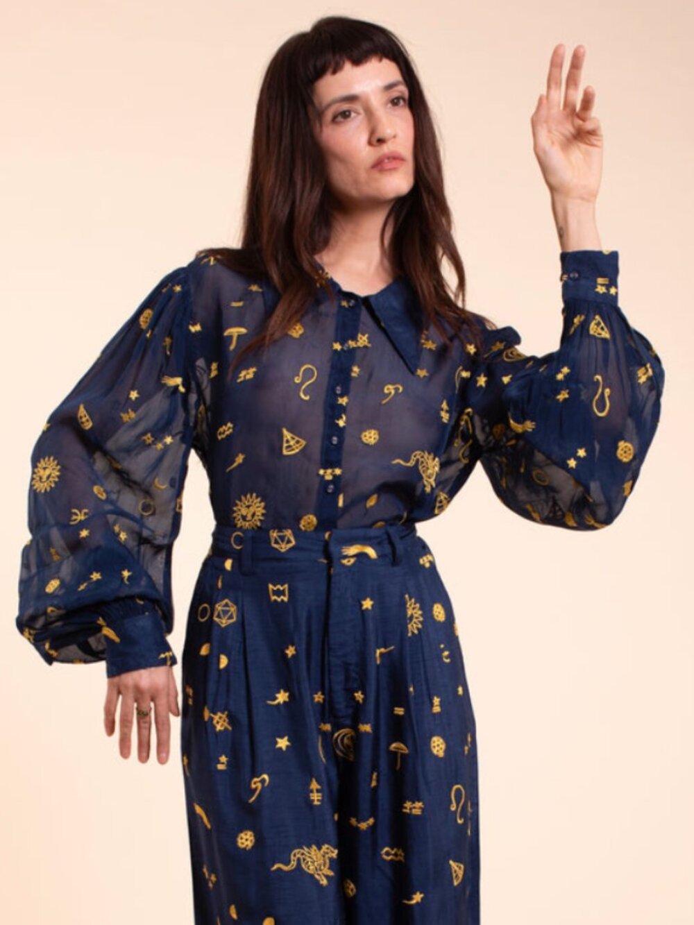 NWT Samantha Pleet Starry Night Blouse in Stargazer Embroidery - Sample Sale, XS